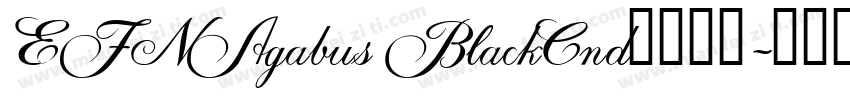 EFNAgabus BlackCnd字体下载字体转换